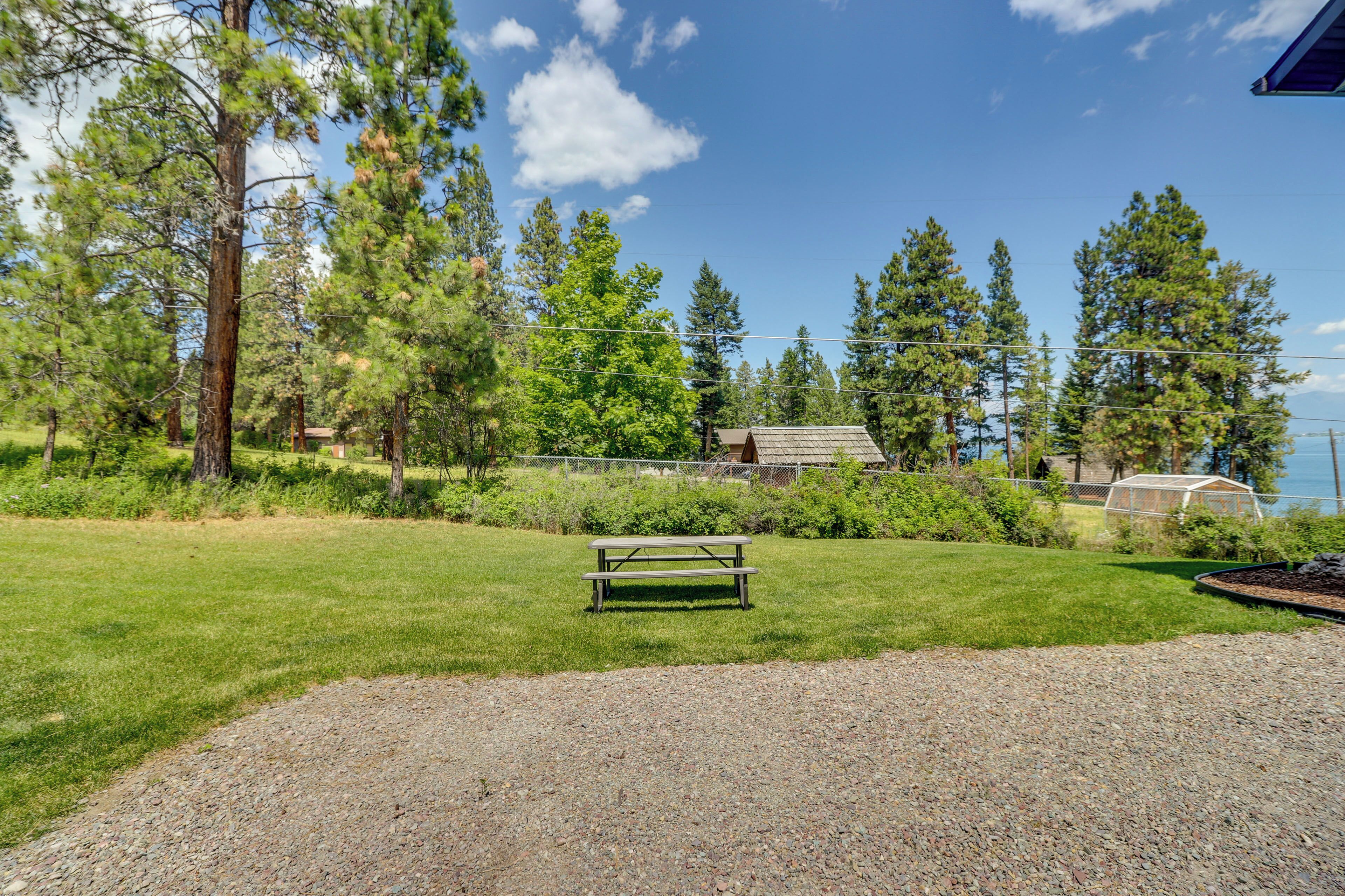 A grassy outdoor area with a wooden bench, surrounded by trees and a view of a lake.