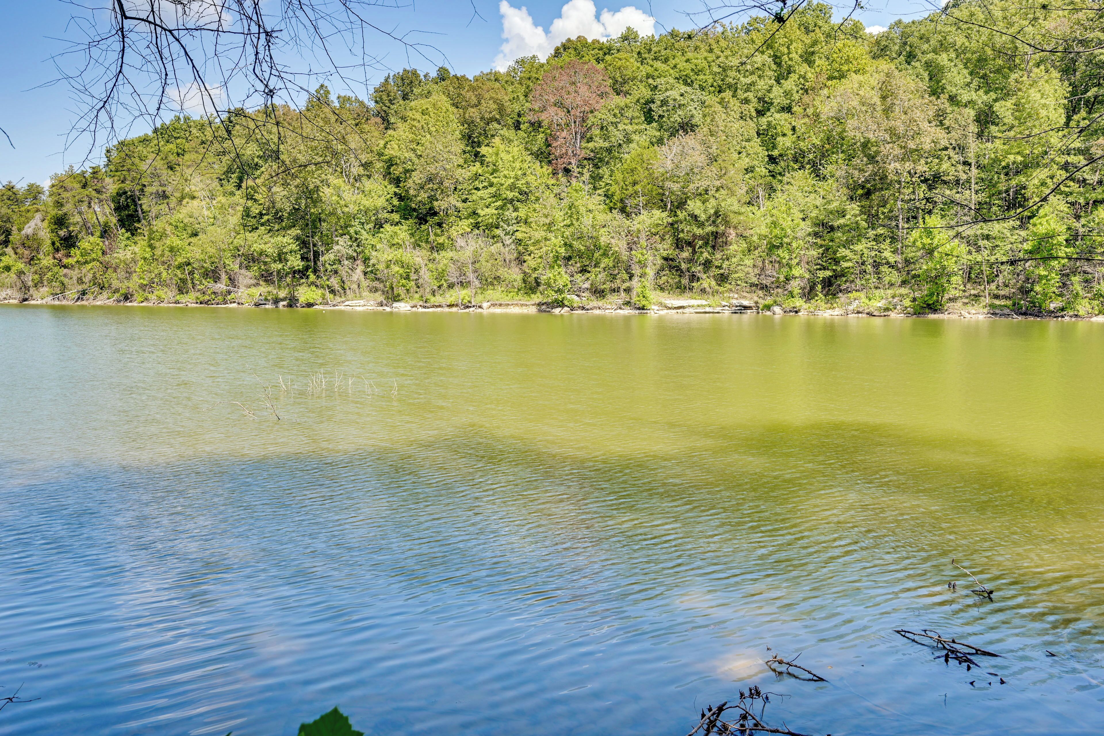 Un lac paisible, entouré d’une forêt dense.