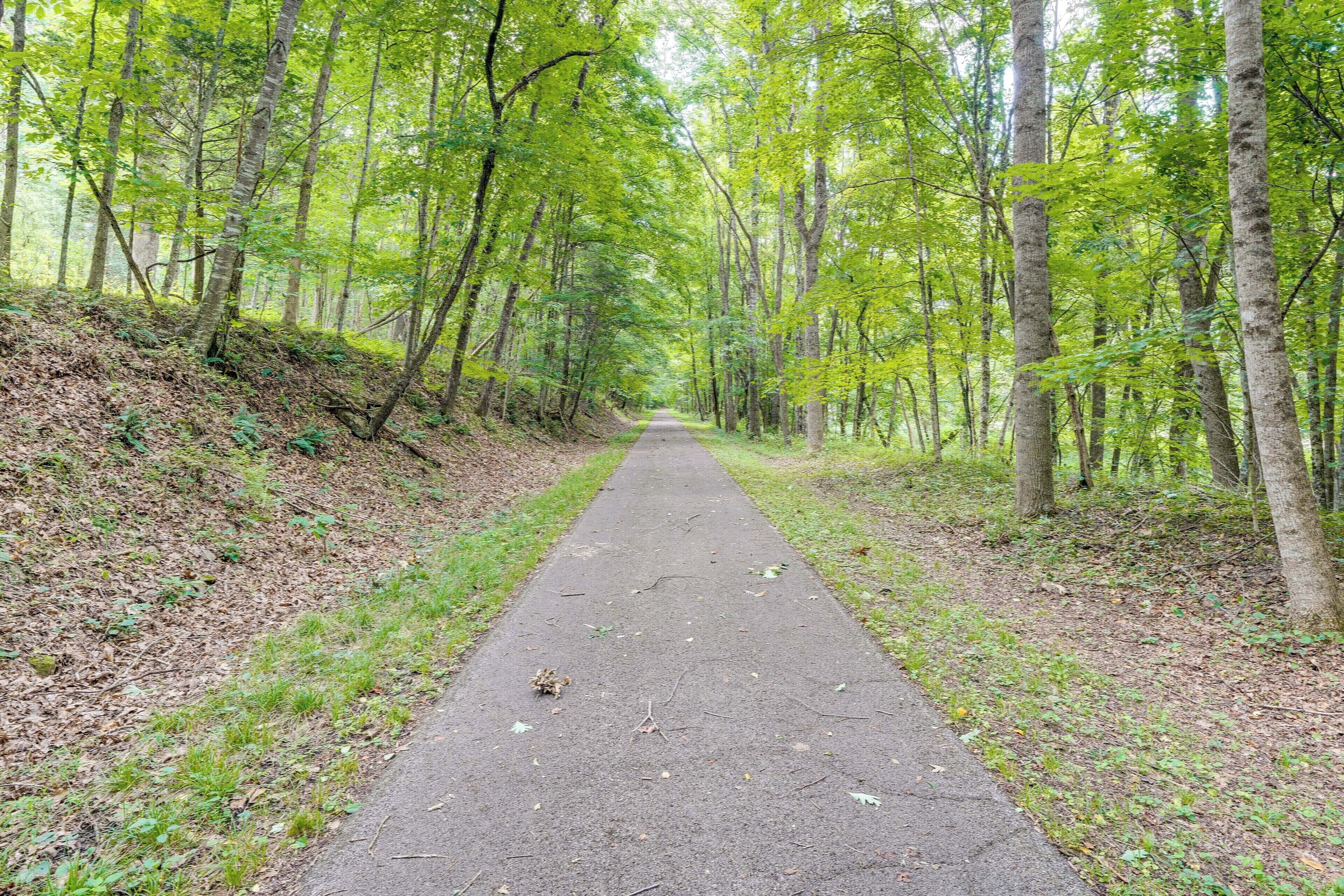Un sentier pavé traversant une zone boisée, avec des arbres de chaque côté.