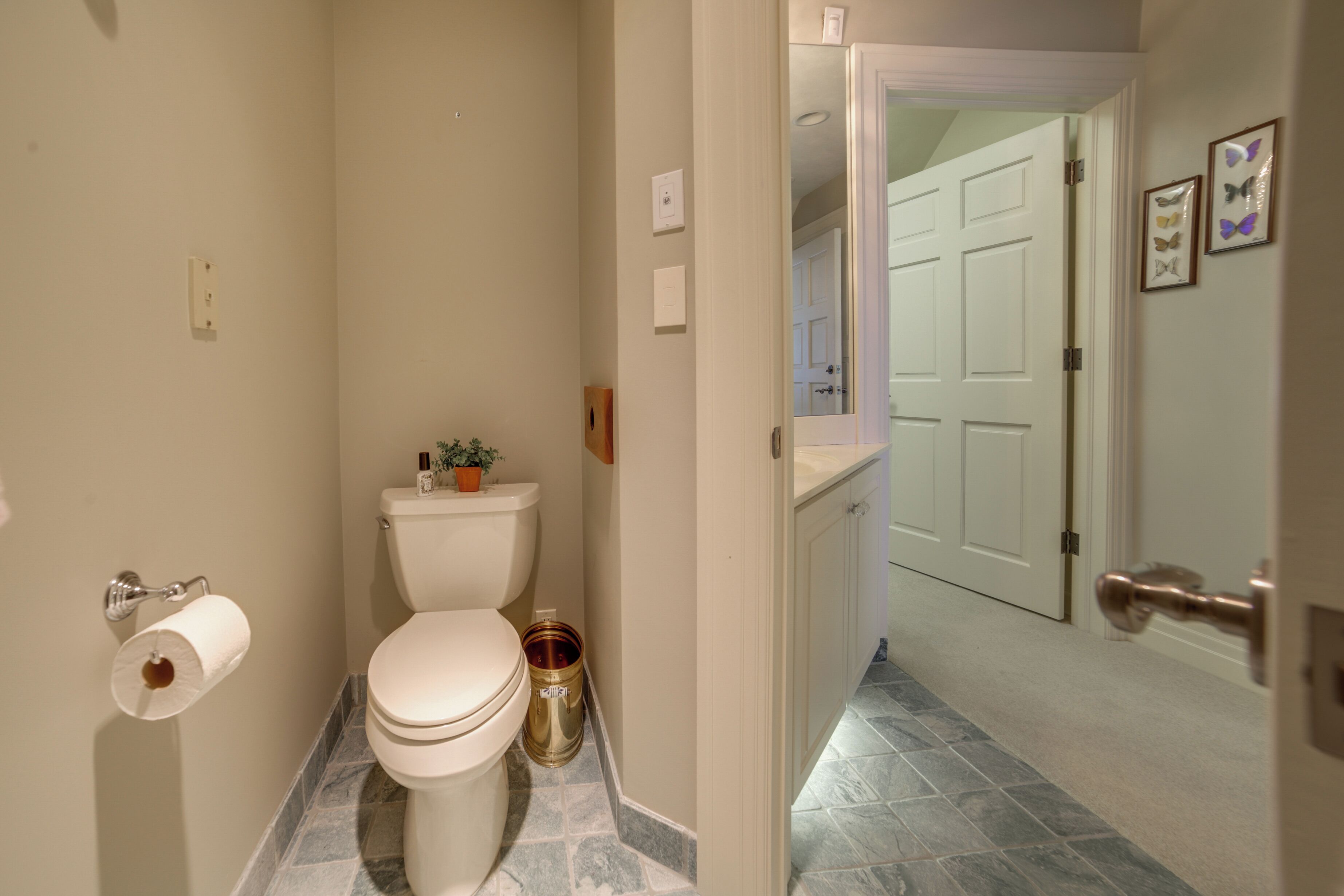 A bathroom with a toilet, a roll of toilet paper, a trash can, and a small potted plant.