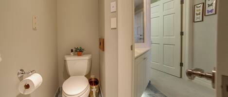 A bathroom with a toilet, a roll of toilet paper, a trash can, and a small potted plant.
