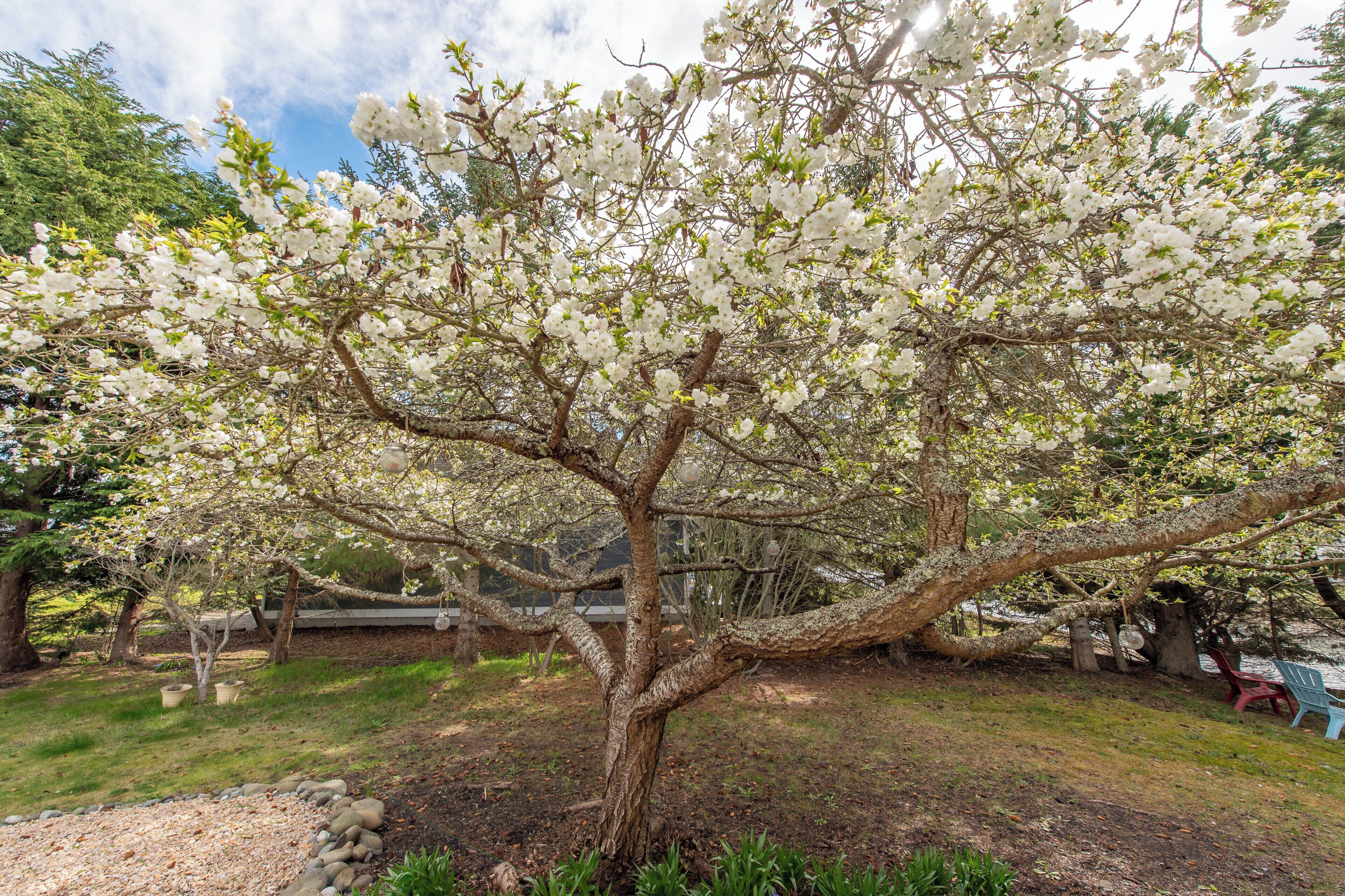 平房 (1 Bedroom) | 住宿內部