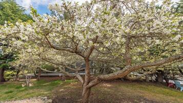 Cottage (1 Bedroom) | Interior