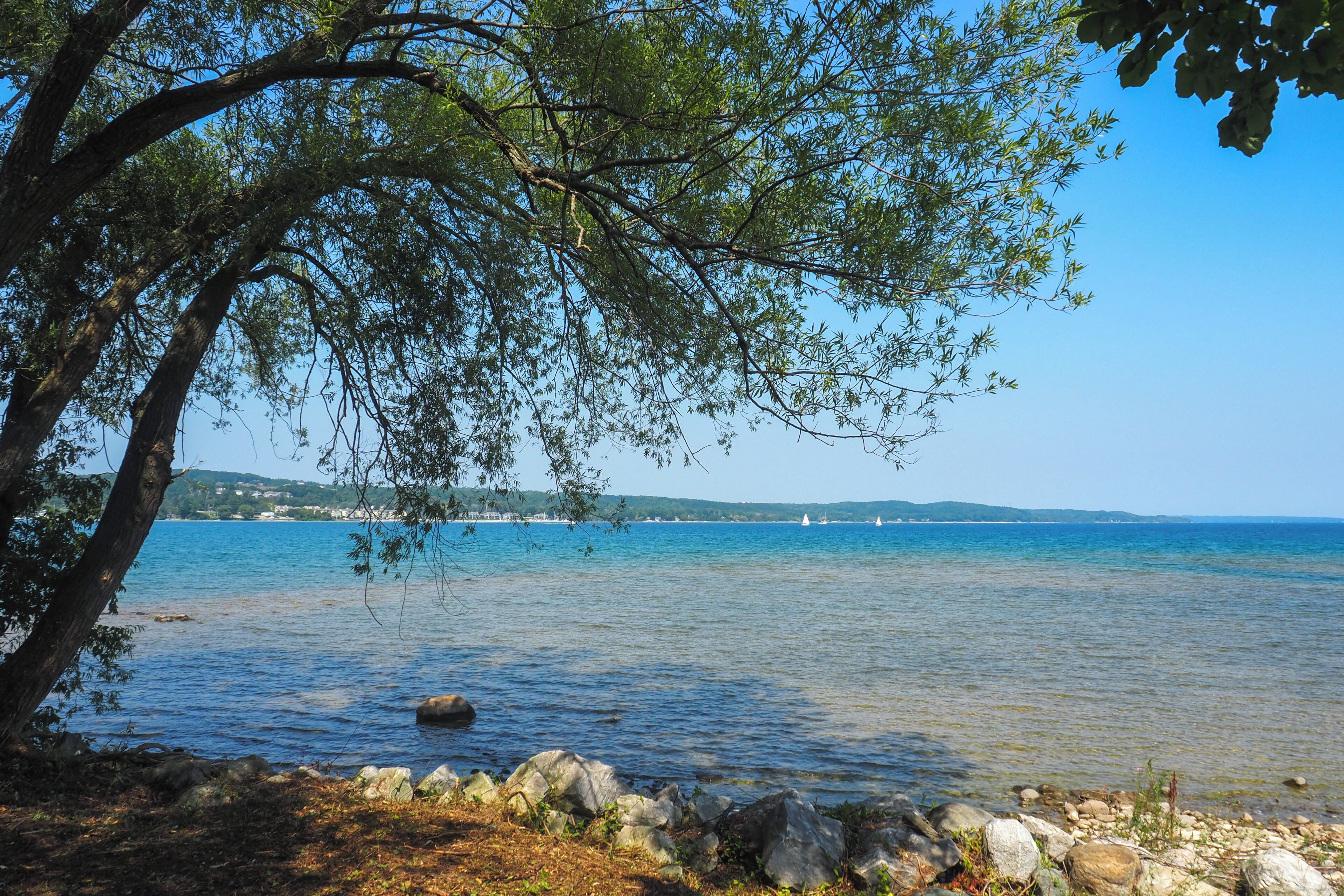 A clear view of a lake with a rocky shoreline and a tree in the foreground.