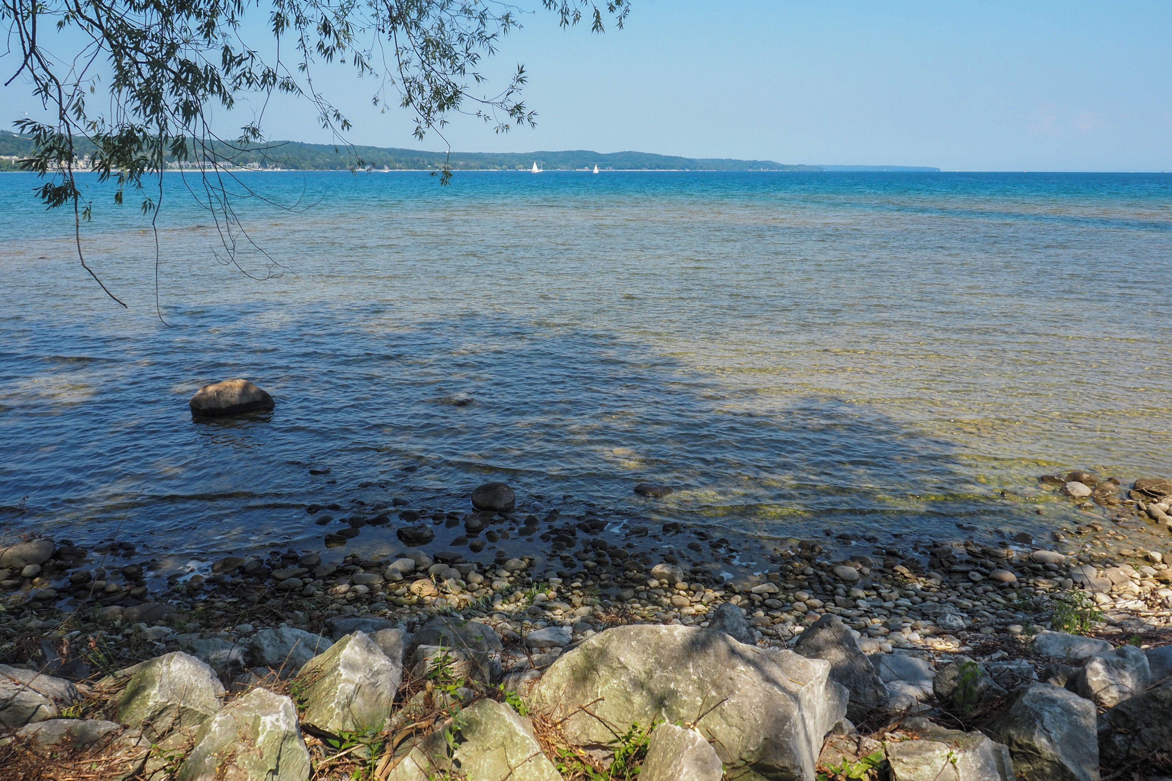 平房 (1 Bedroom) | 住宿內部