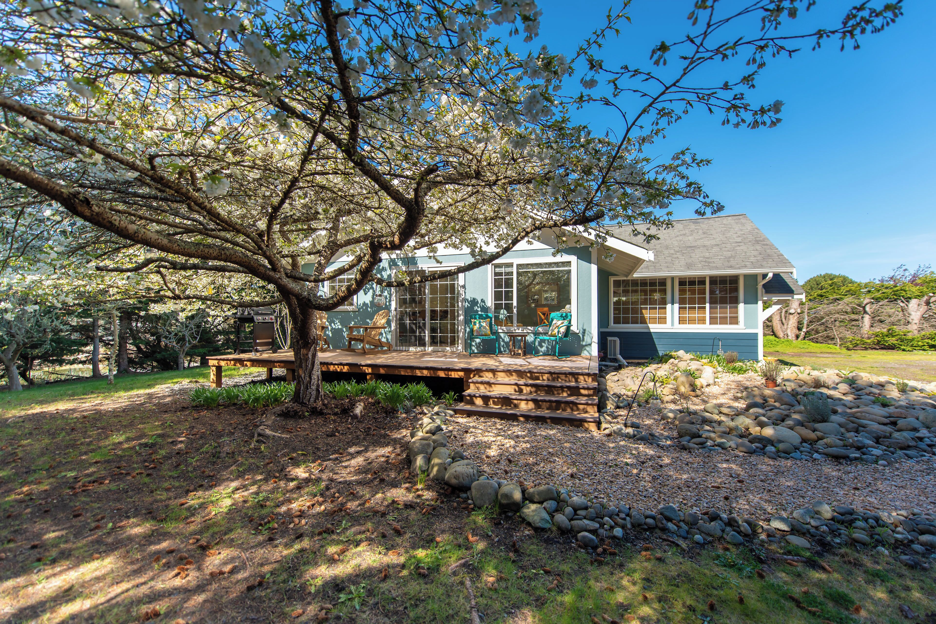 Cottage (1 Bedroom) | Interior