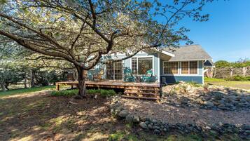 平房 (1 Bedroom) | 住宿內部