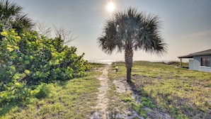 A pathway leading to a beach with a palm tree and dense foliage on the left. - Ormond Beach Home: Walk to Community Beach! (Ormond Beach)