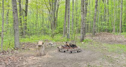 Harrison Cabin w/ Fire Pit & Elbow Lake Access!