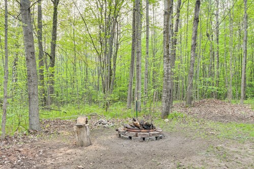 Harrison Cabin w/ Fire Pit & Elbow Lake Access!
