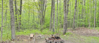 Harrison Cabin w/ Fire Pit & Elbow Lake Access!