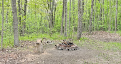 Harrison Cabin w/ Fire Pit & Elbow Lake Access!
