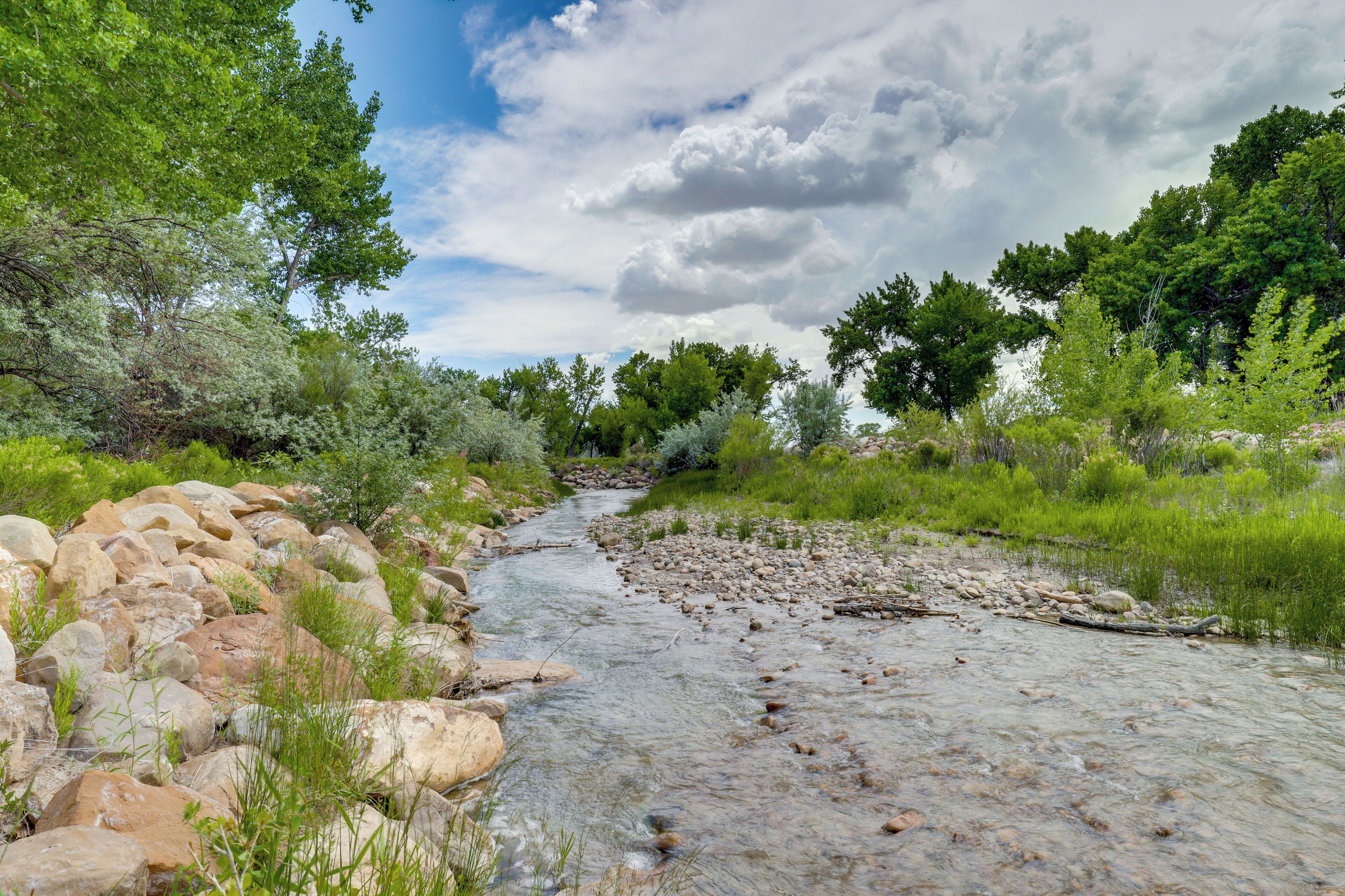 Une rivière qui traverse un paysage rocheux, bordée d’arbres et de verdure de part et d’autre.
