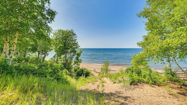 A beach with trees and a clear sky.