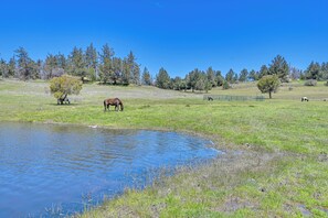 Casa de campo (2 Bedrooms) | Interior