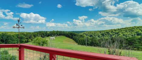 Una terraza roja con barandilla metálica que da a un paisaje verde con árboles y un cielo azul despejado.