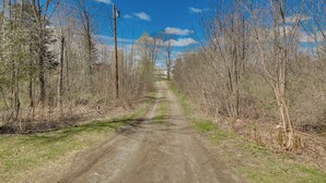 A rural dirt road flanked by leafless trees and a utility pole. - Near Waterville: Cozy Midcoast Vacation Rental! (Albion)