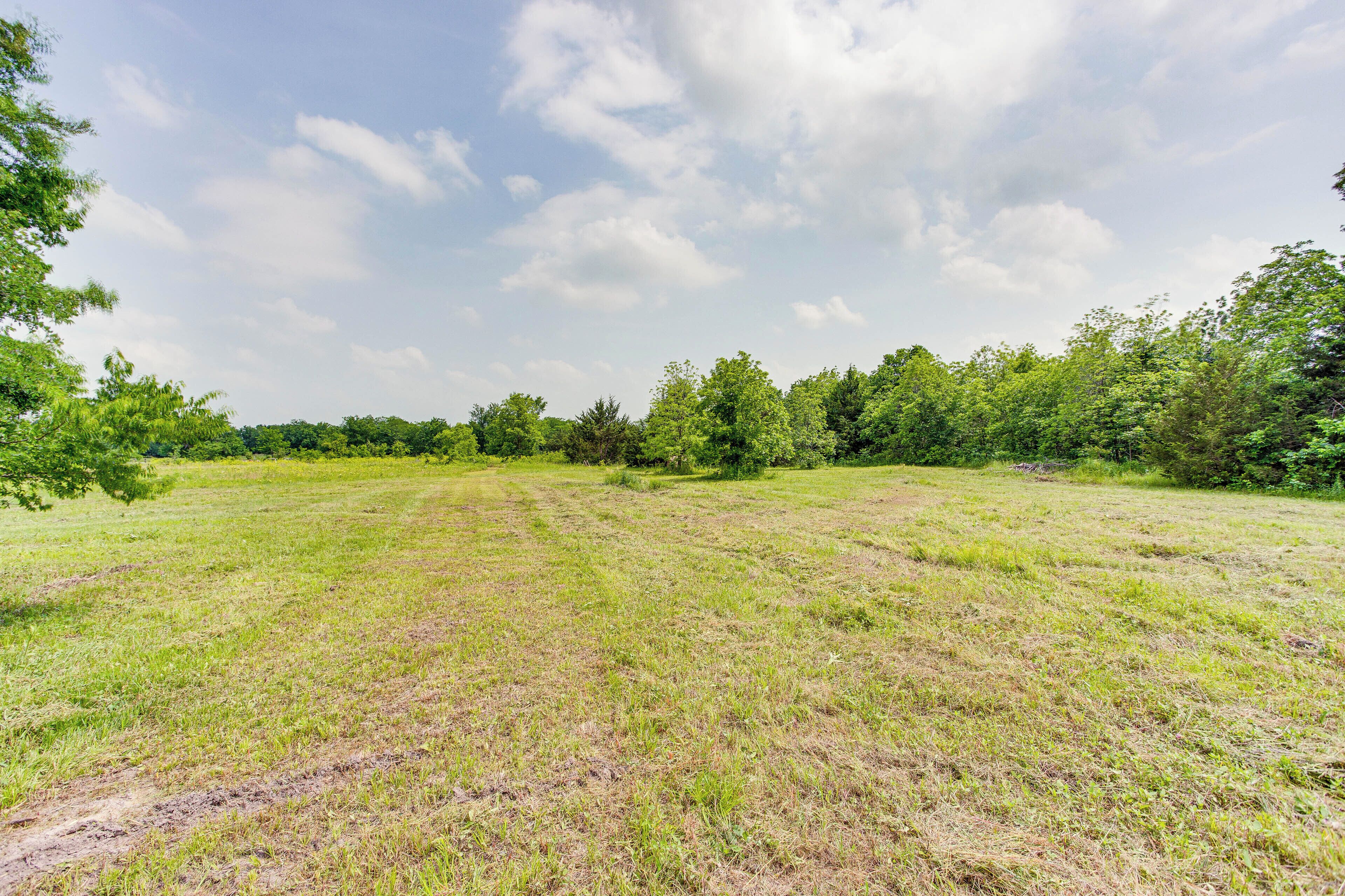 A grassy field with trees in the background.