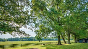 A rural landscape with a large tree, a fenced field, and a small building. - Delaware Vacation Rental: Walk to Lake Dardanelle! (Delaware)
