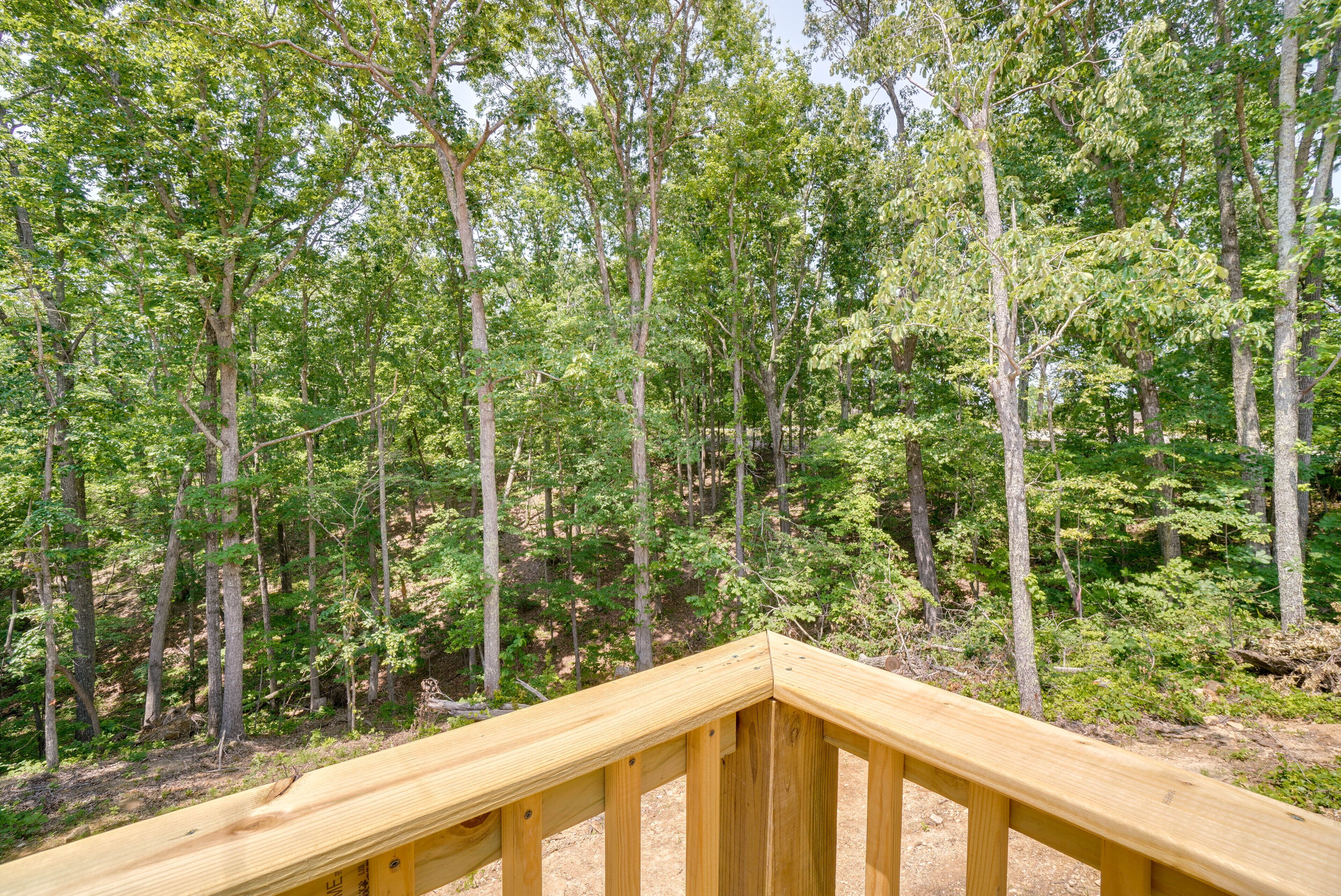 A wooden deck with a view of a dense forest.