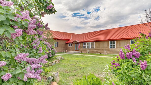 Une maison en bois avec un toit rouge, entourée d’une végétation luxuriante et de fleurs violettes.
