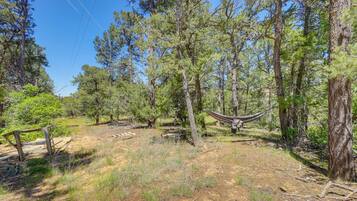 Maison (0 Bedroom) | Intérieur