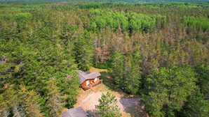 Eine abgelegene Holzhütte, umgeben von dichtem Wald.