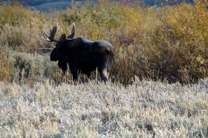 Rumah (1 Bedroom) | Interior