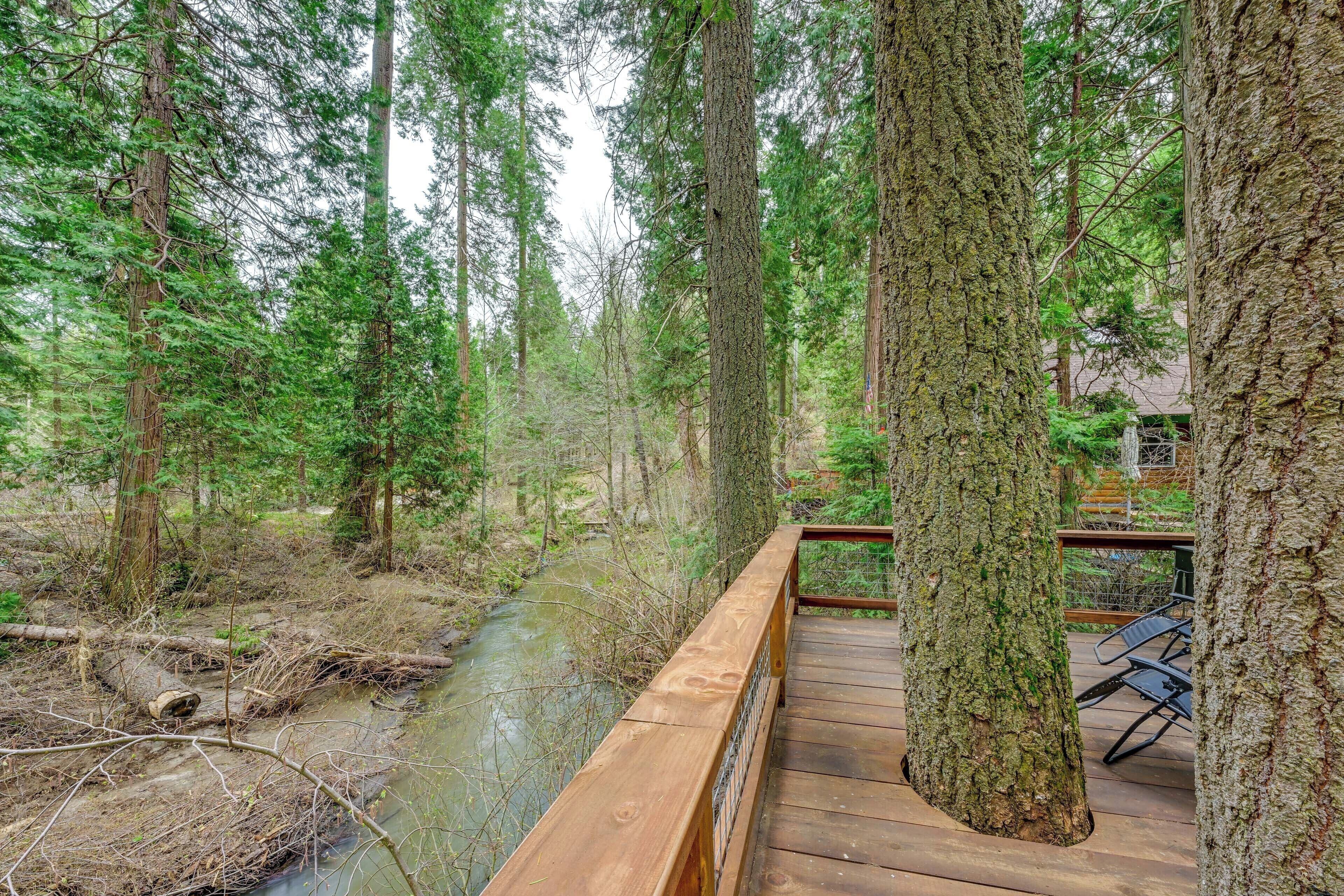 A wooden deck with a railing overlooking a forested area and a stream.