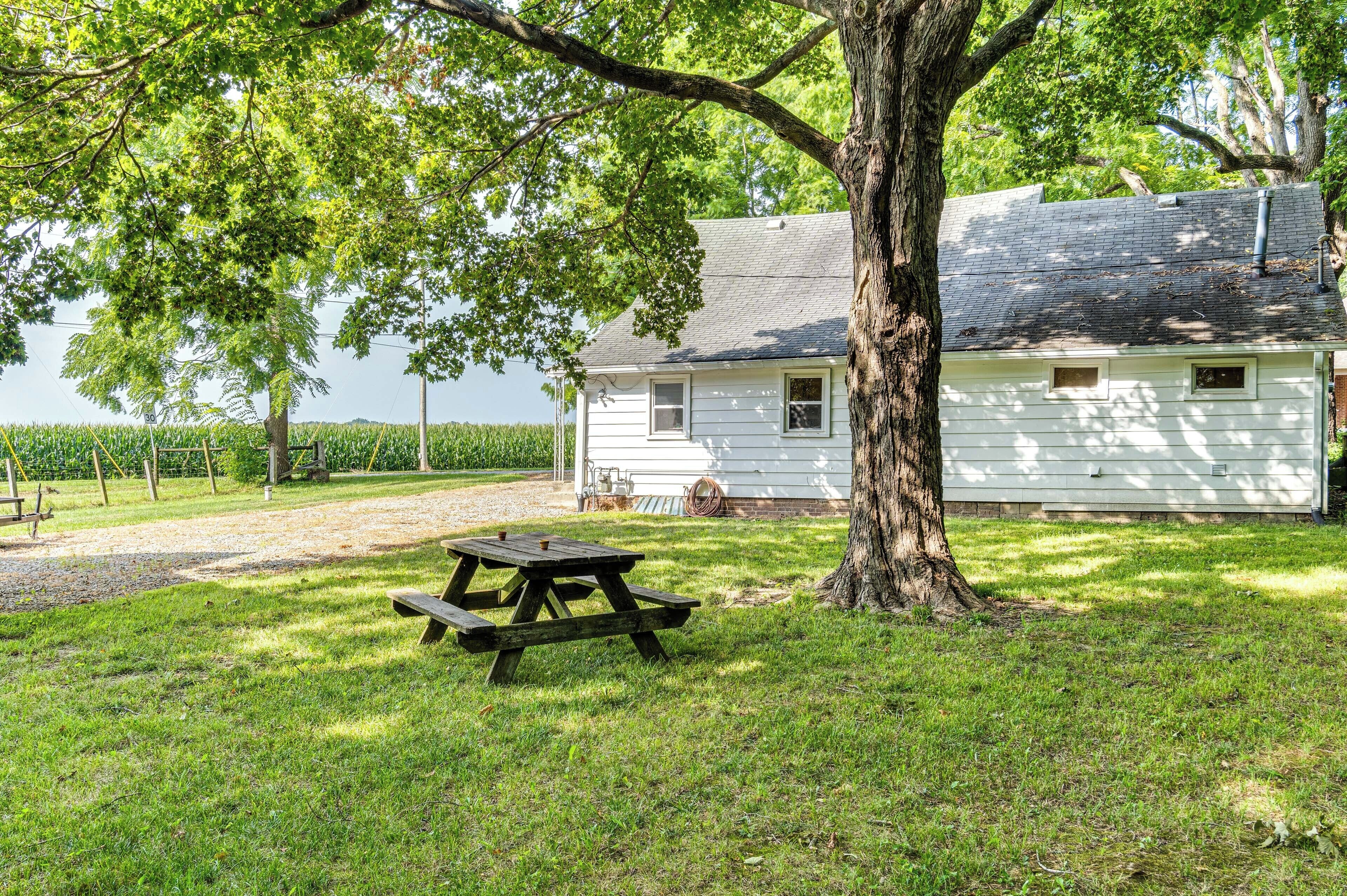 A white house with a large tree in front, a picnic table, and a cornfield in the background.
