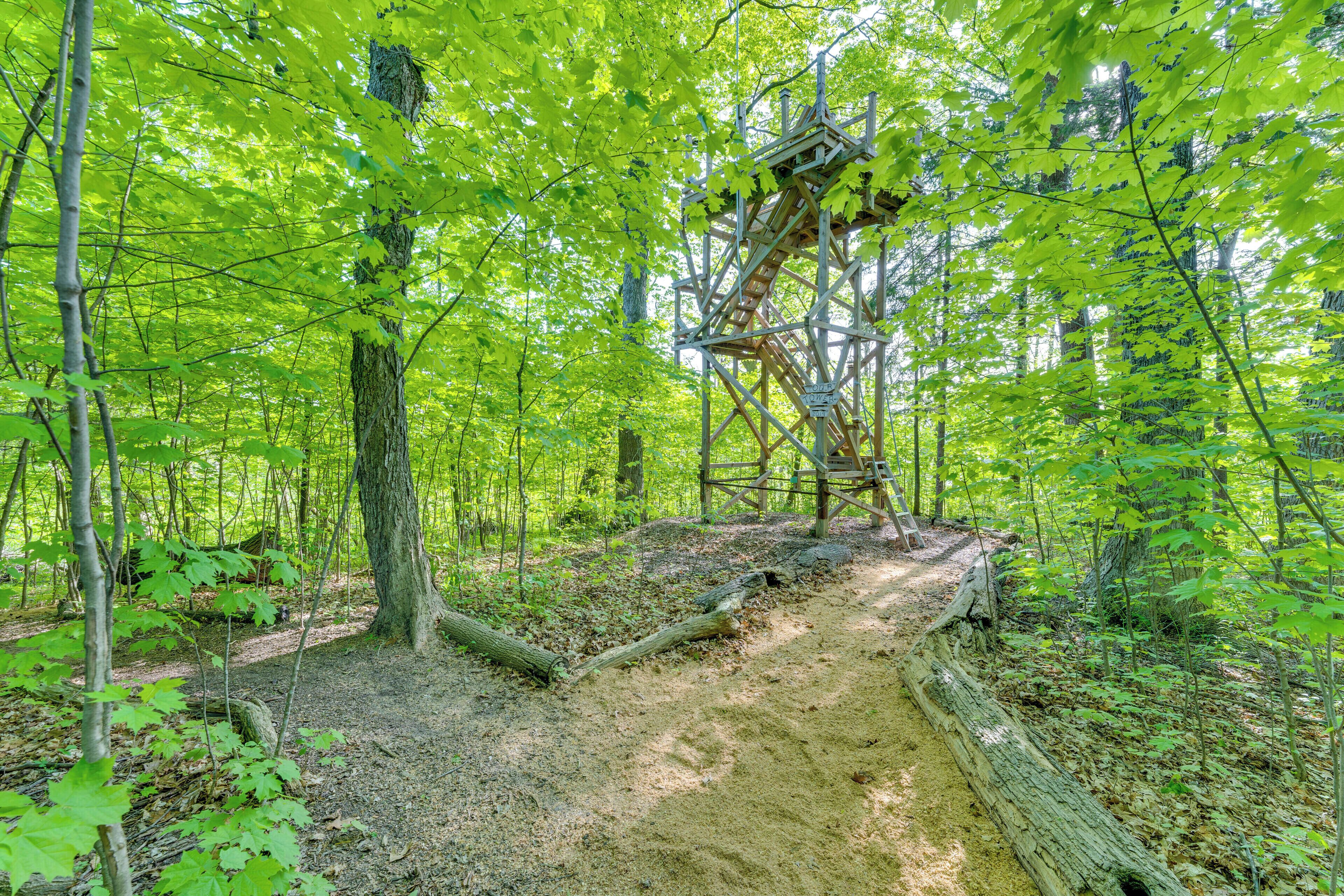 A forest with a wooden observation tower.