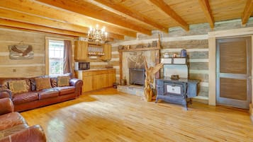 TV, fireplace, video-game console