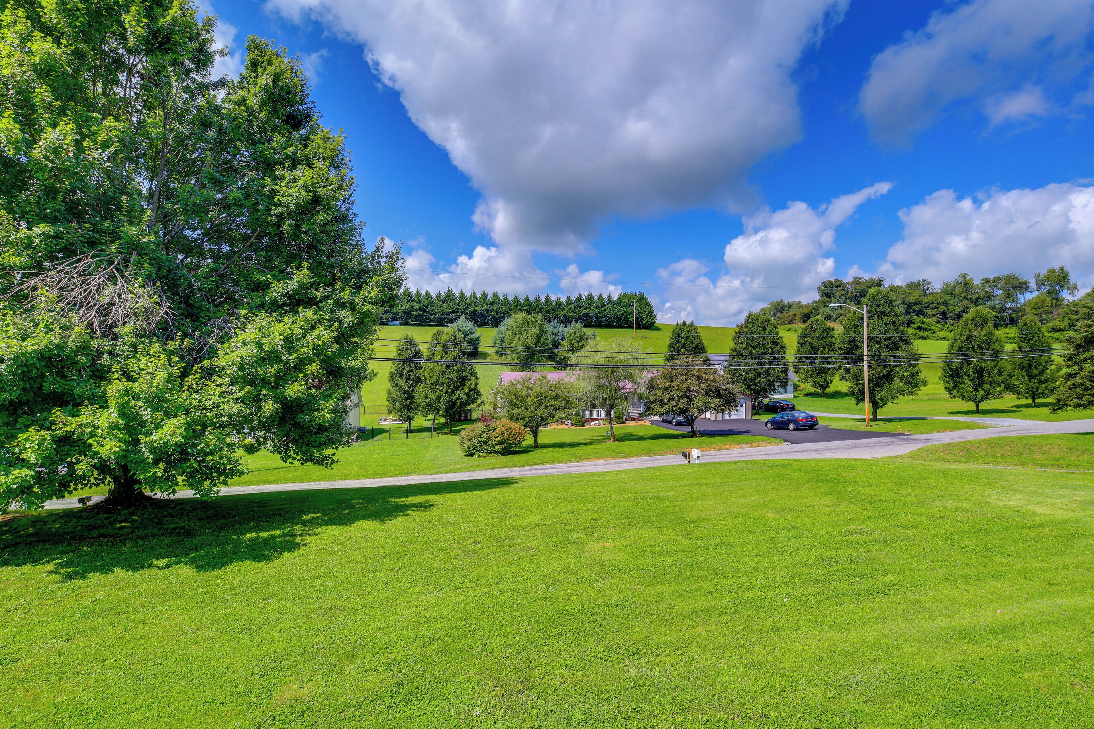 A green field with a large tree, a road, and a few houses in the background.