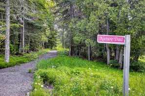 House (1 Bedroom) | Interior - Walk to Lake Superior & Beach: Modern Retreat (Cornucopia)