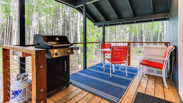A covered outdoor area with a grill, red and white chairs, and a blue rug. - Charming Alaska Vacation Rental w/ Gas Grill! (Willow)