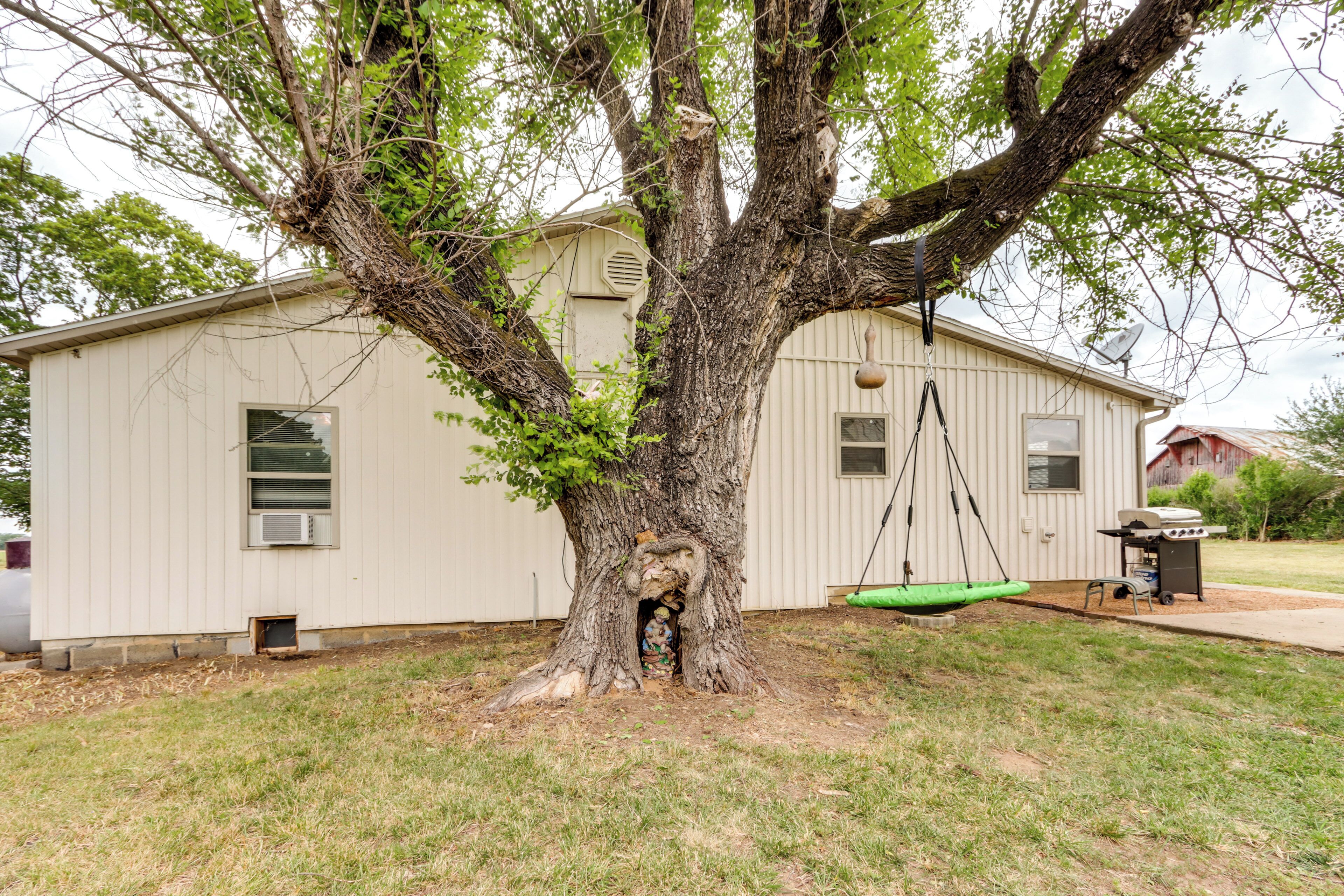 A tree with a swing hanging from its branches, a small shed, and a grassy yard.