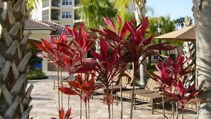 Un patio con sillones de descanso y plantas de hojas rojas, piso de baldosas y un edificio con techo de tejas al fondo.