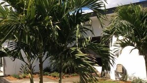 Un sendero pavimentado que lleva a un edificio blanco con un pequeño jardín de palmeras.