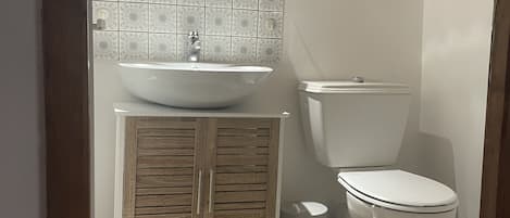 Regadera, secadora de cabello, papel de baño