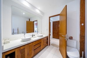 Features a large sink, sleek design, and a spacious mirror.