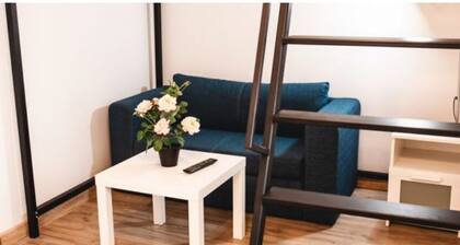 SOUVENIRAPPART WILENSKA 12A