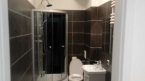 Et lille badeværelse med en glasvægs brusekabine, toilet og et spejl med vask.
