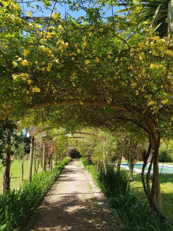 Property grounds - Hermosa Casa Para Disfrutar con Amigos/familiares (Montevideo)