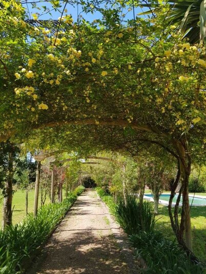 Hermosa Casa Para Disfrutar con Amigos/familiares
