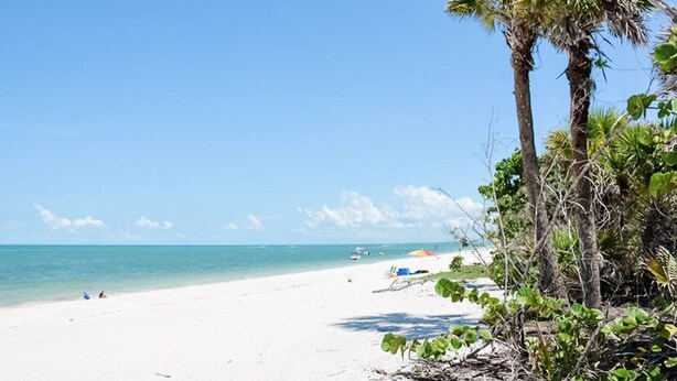 A beach with white sand, clear blue water, and a few palm trees. - Minutes From Beautiful White-Sand Beaches (Rotonda West)