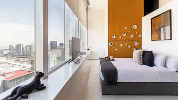Superior Apartment with city view