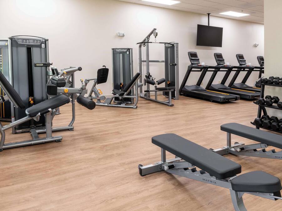 Un gimnasio con equipo de ejercicio variado, incluyendo cintas de correr, máquinas de pesas y mancuernas.