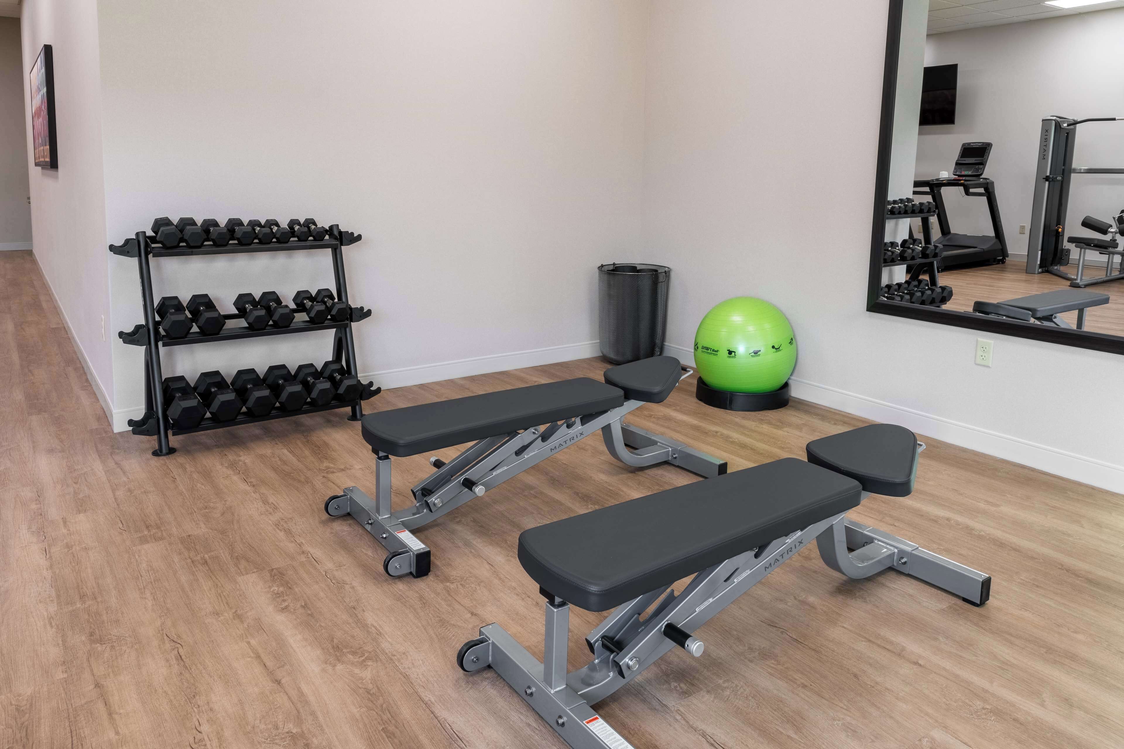 Une salle de sport équipée de bancs réglables, d’un porte-haltères, d’un ballon d’exercice vert et d’un tapis de course.