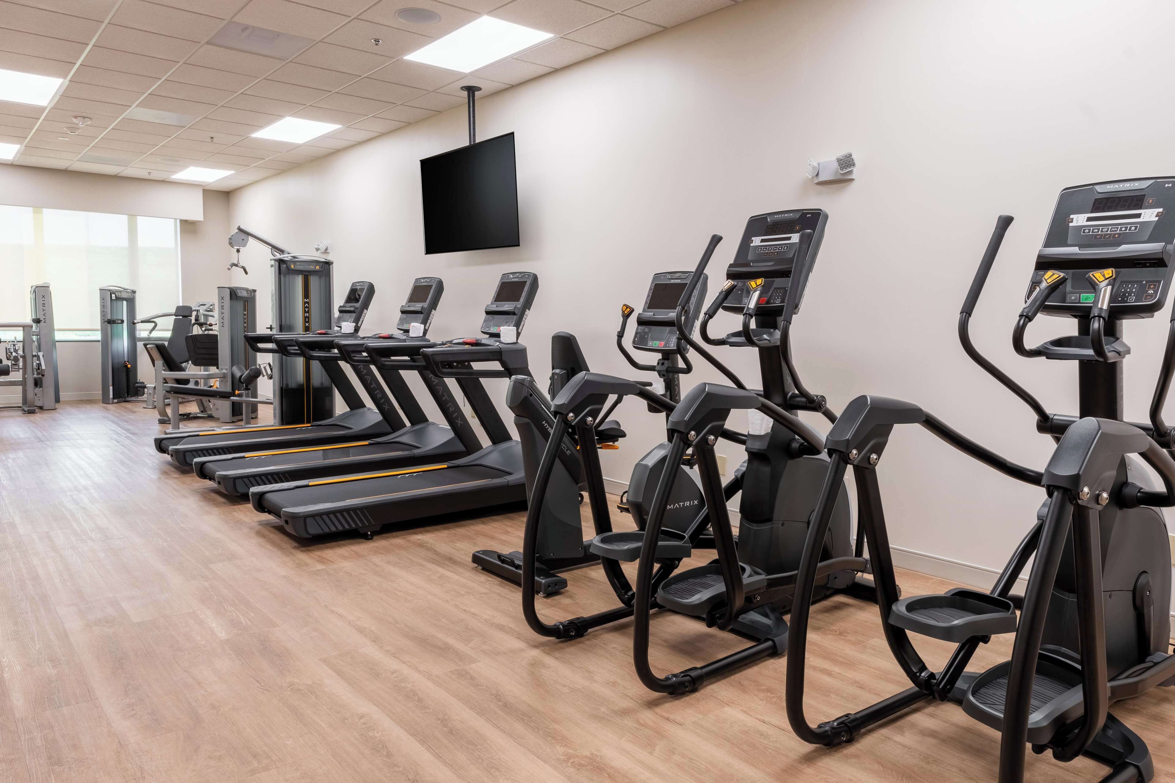 A gym with treadmills, ellipticals, and weight machines.
