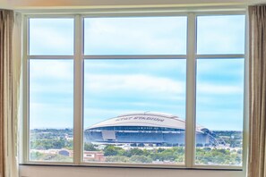 View from property - Drury Plaza Hotel Dallas Arlington (Arlington)